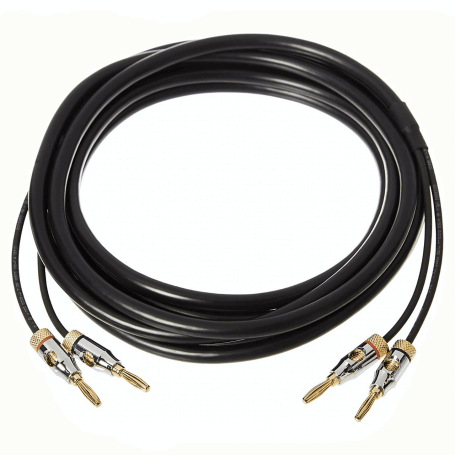 AmazonBasics Speaker Cable with Gold-Plated Banana Tips | FORMYANMAR.COM